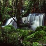 small stream Dalebrook catchment near Higgs track 9-91 LGo.jpg